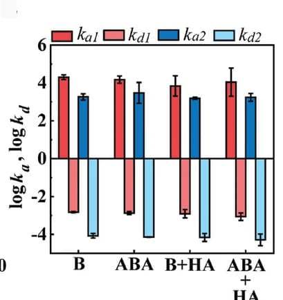 Open access visualization of Bar Plot, Error Bars, Binding Constants, Polymer Formulations, Cornea