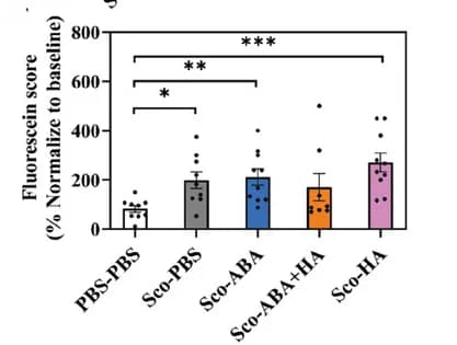 Open access visualization of Bar Plot, Error Bars, Scatter Plot, Fluorescein Score, Assessment