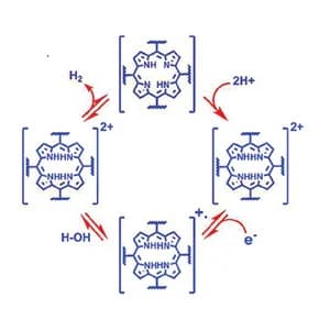 Open access visualization of Chemical Structure, HER Mechanism, TpPAM