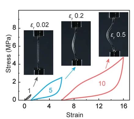 Open access visualization of Line Plot, Photo, Cyclic Tensile Tests, Hydrogels, Optical Images