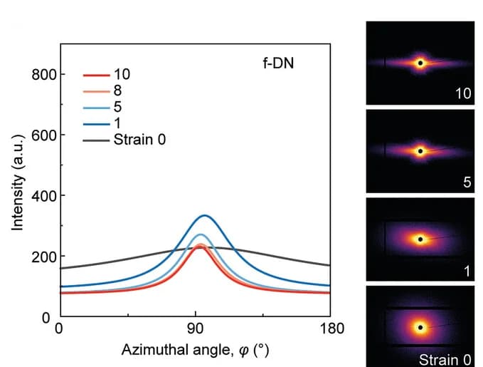 Open access visualization of Line Plot, Photo, 2D SAXS Plots, Azimuthal Scan Profiles, f-DN Gels