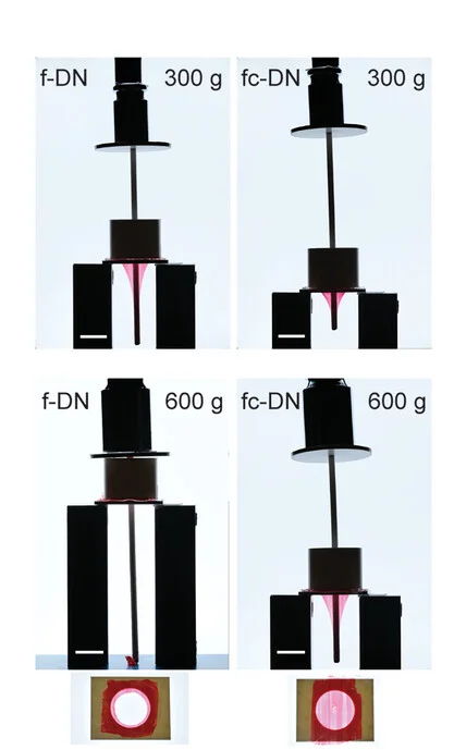 Open access visualization of Photo, AG/PAAm f-DN Hydrogel, AcAG/PAAm fc-DN Hydrogel, Puncture, Hydrogel