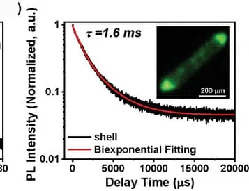 Open access visualization of Line Plot, Photo, PL Decay Curve, Lifetime Fitting Curve, 2I Shell
