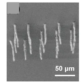Open access visualization of Microscopy, SEM Images, Heterostructure Arrays, 2I, 2BF4
