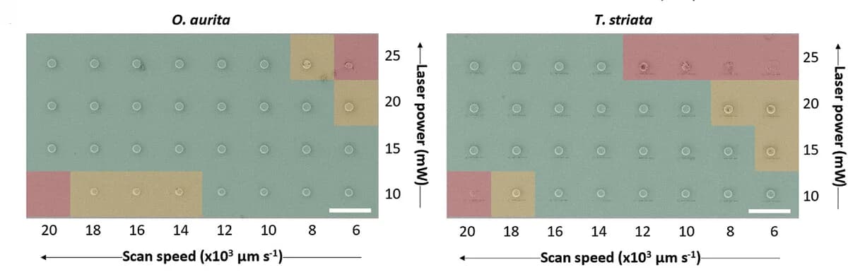 Open access visualization of Microscopy, SEM Images, Dose Test, Printability Window, Inks