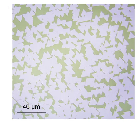 Open access visualization of Microscopy, Optical Microscope, MoS2, Oriented Domains