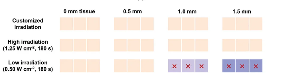 Open access visualization of Table Image, Tumor Cells, Ln-ZIF⊂rPMo-EGCG, Tissue Thickness, Irradiation Prescriptions