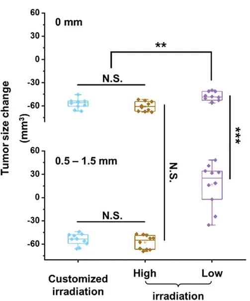 Open access visualization of Box Plot, Scatter Plot, Tumor Size, Mice, Irradiation