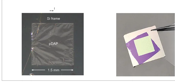 Open access visualization of Microscopy, Photo, Optical Images, pDAP Membrane, Silicon Frame