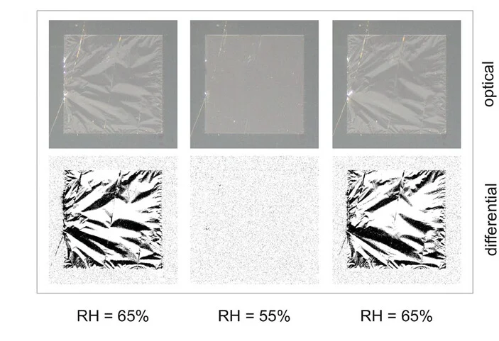 Open access visualization of Microscopy, Photo, pDAP Membranes, Moisture, Flattening