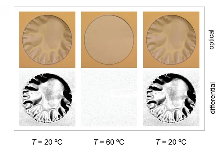 Open access visualization of Photo, pDAP Membranes, Thermal Stimulus, Flattening, Wrinkling
