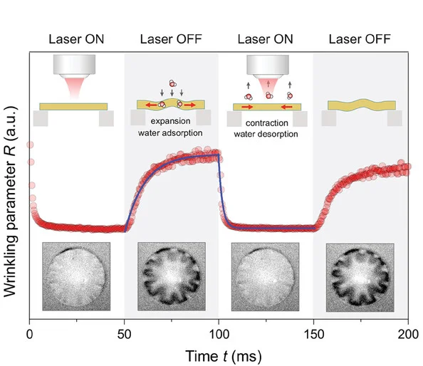 Open access visualization of Line Plot, Scatter Plot, Photo, Membrane, Wrinkling