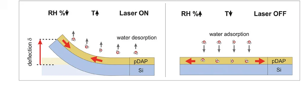 Open access visualization of Illustration, pDAP-Si Cantilever, Stimuli