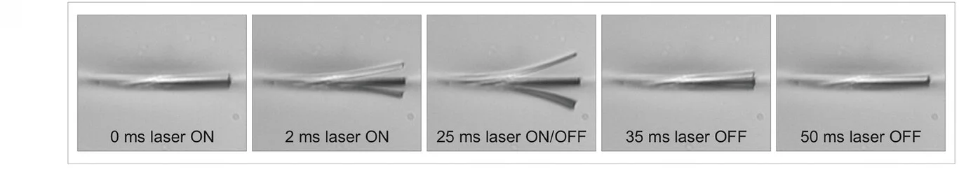 Open access visualization of Microscopy, Photo, Optical Microscope Images, Cantilevers, Light Irradiation