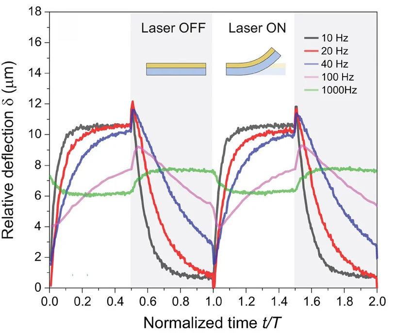 Open access visualization of Line Plot, Deflection, Cantilever Beam, pDAP Layer, Frequency