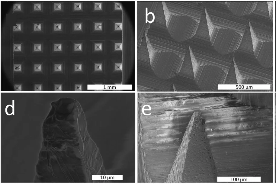Open access visualization of Microscopy, SEM Image, Microneedle Array