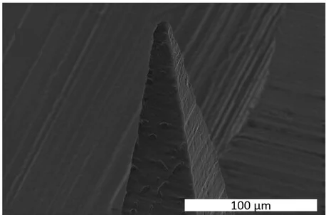 Open access visualization of Microscopy, SEM Image, Single Microneedle