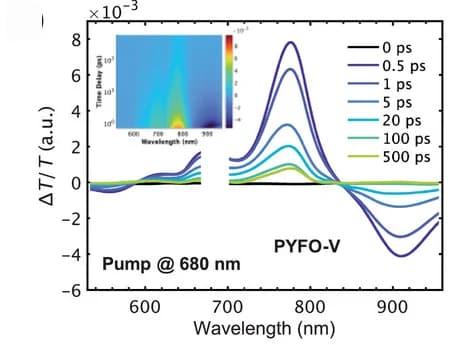 Open access visualization of Line Plot, Heatmap, TAS, 2D Plots, Spectra
