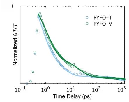 Open access visualization of Scatter Plot, Line Plot, TA Dynamics, PYFO-T, PYFO-V