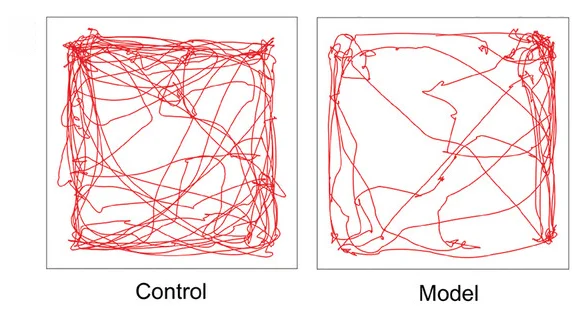 Open access visualization of Line Plot, Movement Track Maps