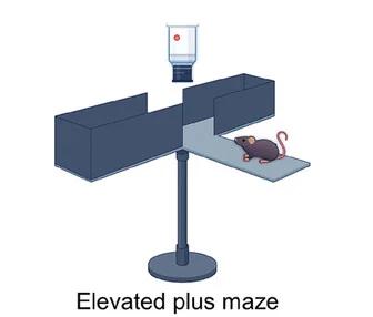 Open access visualization of Illustration, EPM Experiments, Schematic Diagram