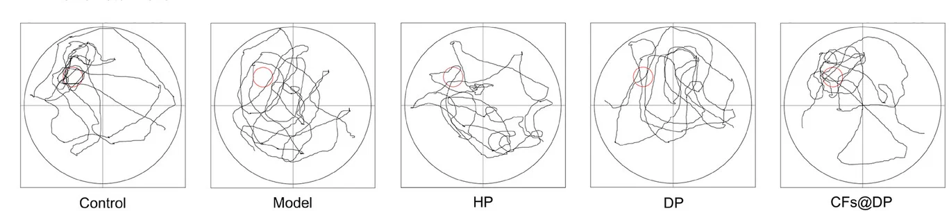 Open access visualization of Line Plot, Mice, Movement Track Maps, EPM Arms Size, MWM Size