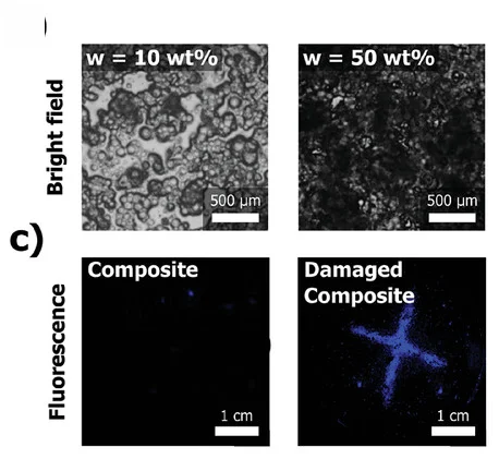 Open access visualization of Microscopy, Micrographs, PVAc/MCs Composite