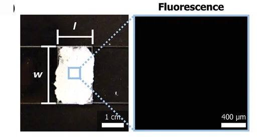 Open access visualization of Microscopy, Photo, Lap Joint Specimen, PMMA Substrates, PVAc/MCs Composite