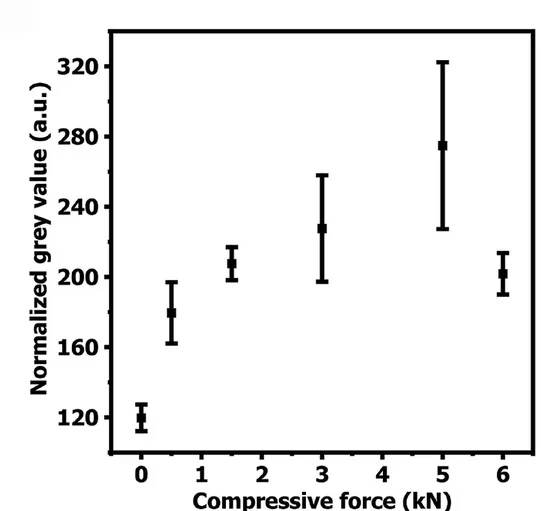 Open access visualization of Line Plot, Error Bars, Grey Values, RGB Analysis, Composite