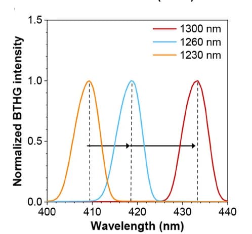 Open access visualization of Line Plot, BTHG Spectra, Wavelengths
