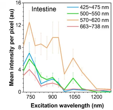 Open access visualization of Line Plot, Error Bars, Autofluorescence, Excitation Wavelengths, Tissues