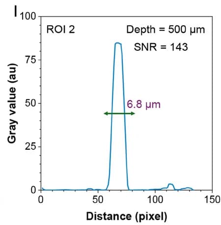 Open access visualization of Line Plot, BTHG Signal Profiles, Brain Vessel, Depth, ROI