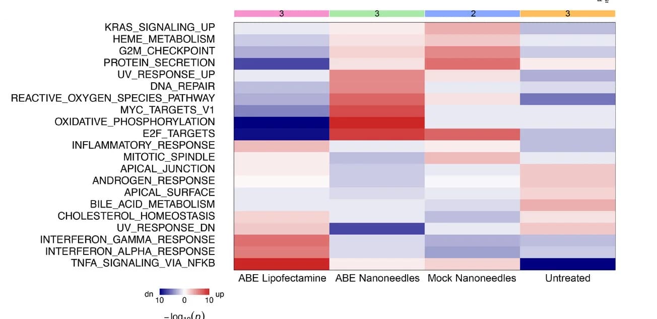 Open access visualization of Heatmap, Pathway Enrichment Analysis, Transfection Conditions, Biological Replicates