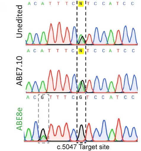 Open access visualization of Line Plot, Sanger Sequencing, Chromatograms, G>A Variant, ABE7.10