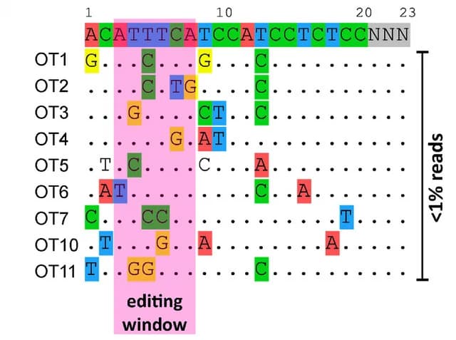 Open access visualization of Illustration, Next Generation Sequencing, Amplicon Sequencing, Genome, Off-Target Sites