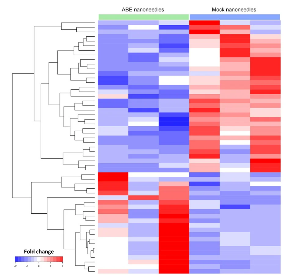 Open access visualization of Heatmap, Clustered, Differentially Expressed Genes, Nanoneedle Edited, RDEB Fibroblasts