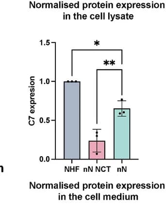 Open access visualization of Bar Plot, Error Bars, Densitometric Quantification, Protein Expression, Cell Lysate