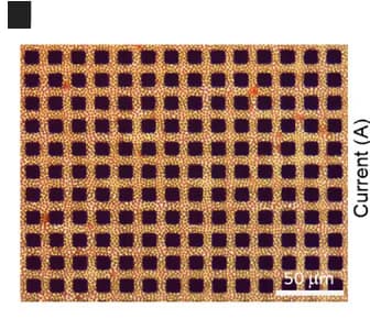 Open access visualization of Microscopy, Optical Image, Perovskite, Photodiode Array