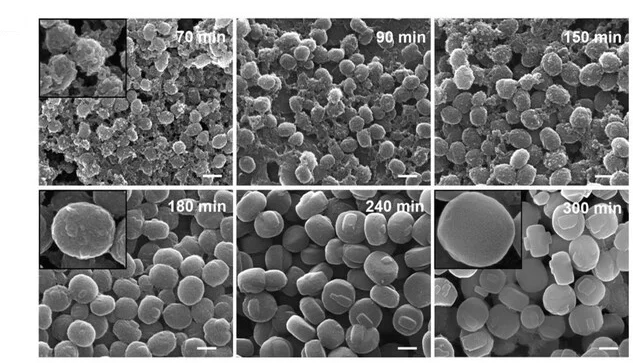 Open access visualization of Microscopy, SEM Images, Crystal Evolution, Surface Texture, Reaction Time