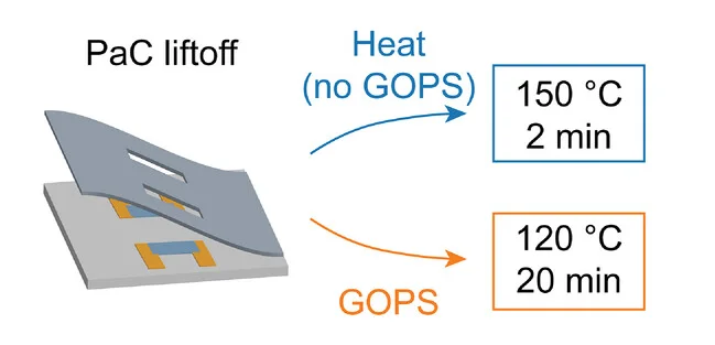 Open access visualization of Workflow, Illustration, Parylene, Patterning, Baking