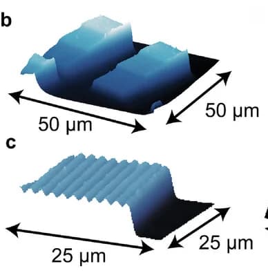 Open access visualization of Microscopy, Atomic Force Microscope, AFM, Sculptural Test Piece, Curves