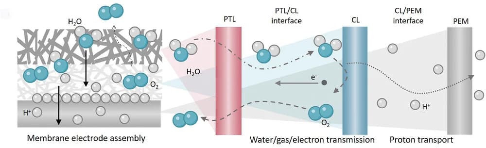 Open access visualization of Workflow, Illustration, Membrane Electrode, Water Transport, Gas Transport