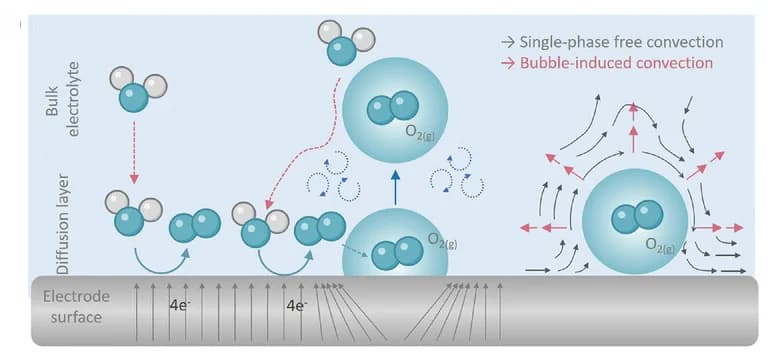 Open access visualization of Illustration, Transport, Electrochemical Processes, Gas-Evolving Electrodes, MEA