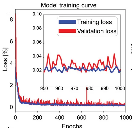 Open access visualization of Line Plot, Training Loss Curves, Validation Loss Curves, Epochs