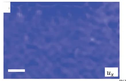 Open access visualization of Microscopy, Color-Coded Map, Interlayer Displacement, Zigzag Direction