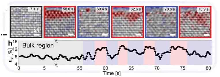 Open access visualization of Line Plot, Microscopy, TEM Time Series, Etching, Edge Reconstruction