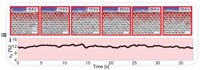 Open access visualization of Line Plot, Microscopy, Reconstructed Edge, TEM Time Series