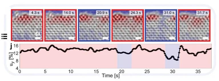 Open access visualization of Line Plot, Microscopy, Reconstructed Edge, Local Defect, TEM Time Series