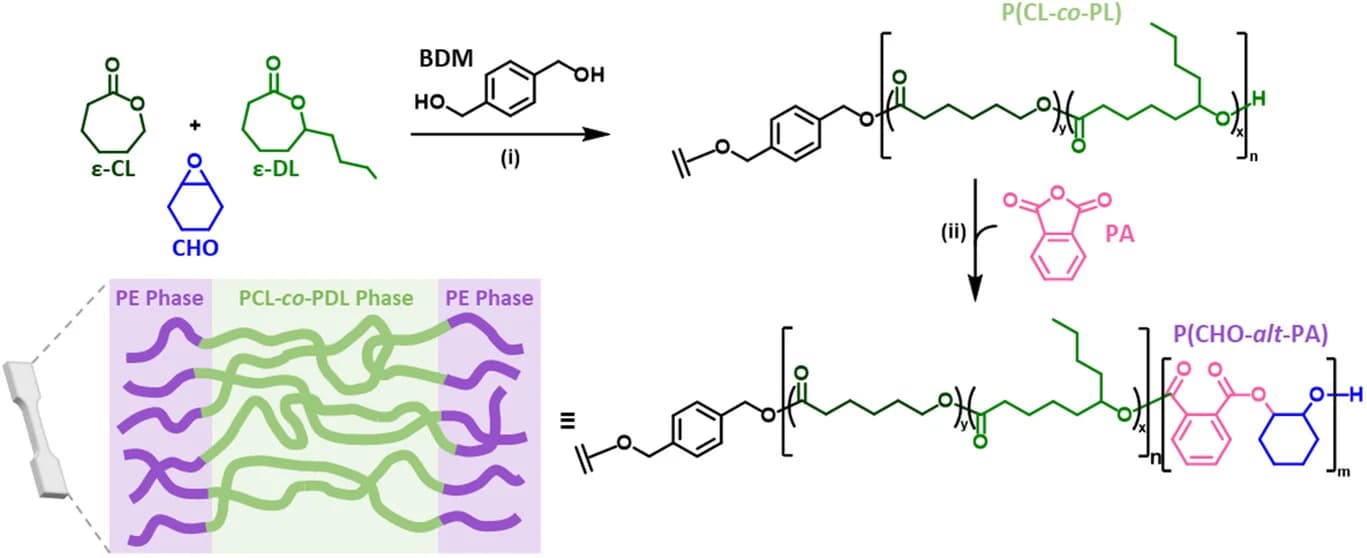 Open access visualization of Workflow, Illustration, Chemical Structure, Block Polyesters, ROP