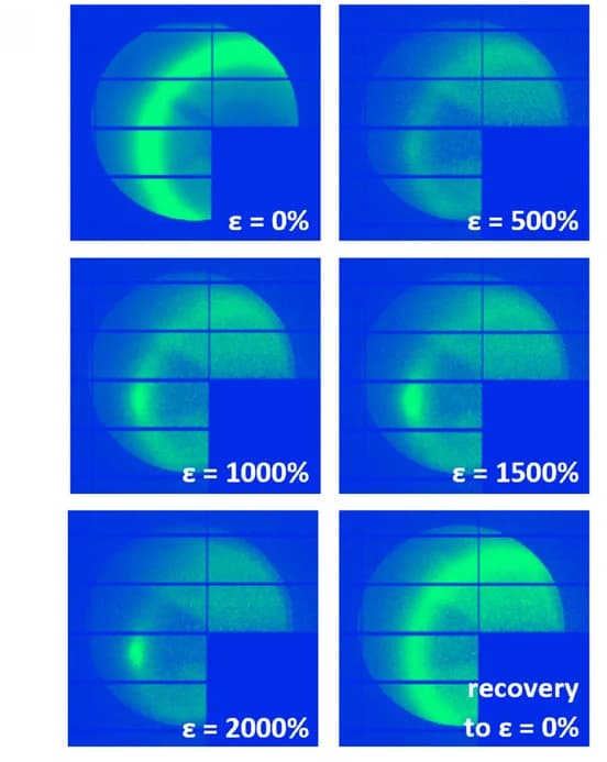 Open access visualization of Photo, 2D-WAXS, Strain, Recovery